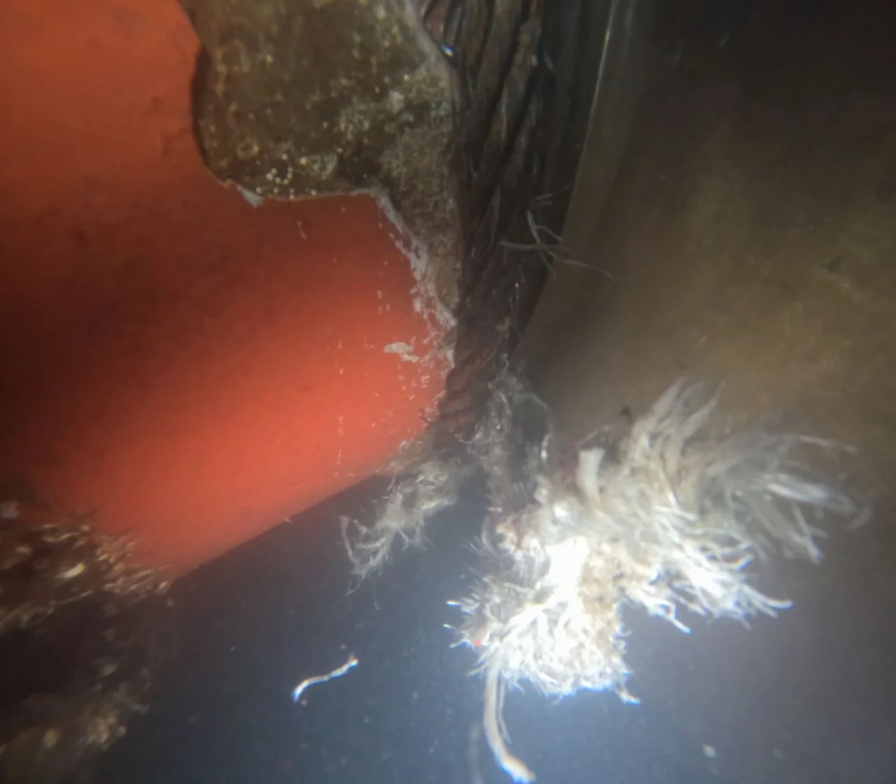 Swift Response to a Vessel in Distress