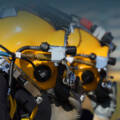 From Diving Operations to Equipment Hire: Introducing Seatech Rentals Ltd